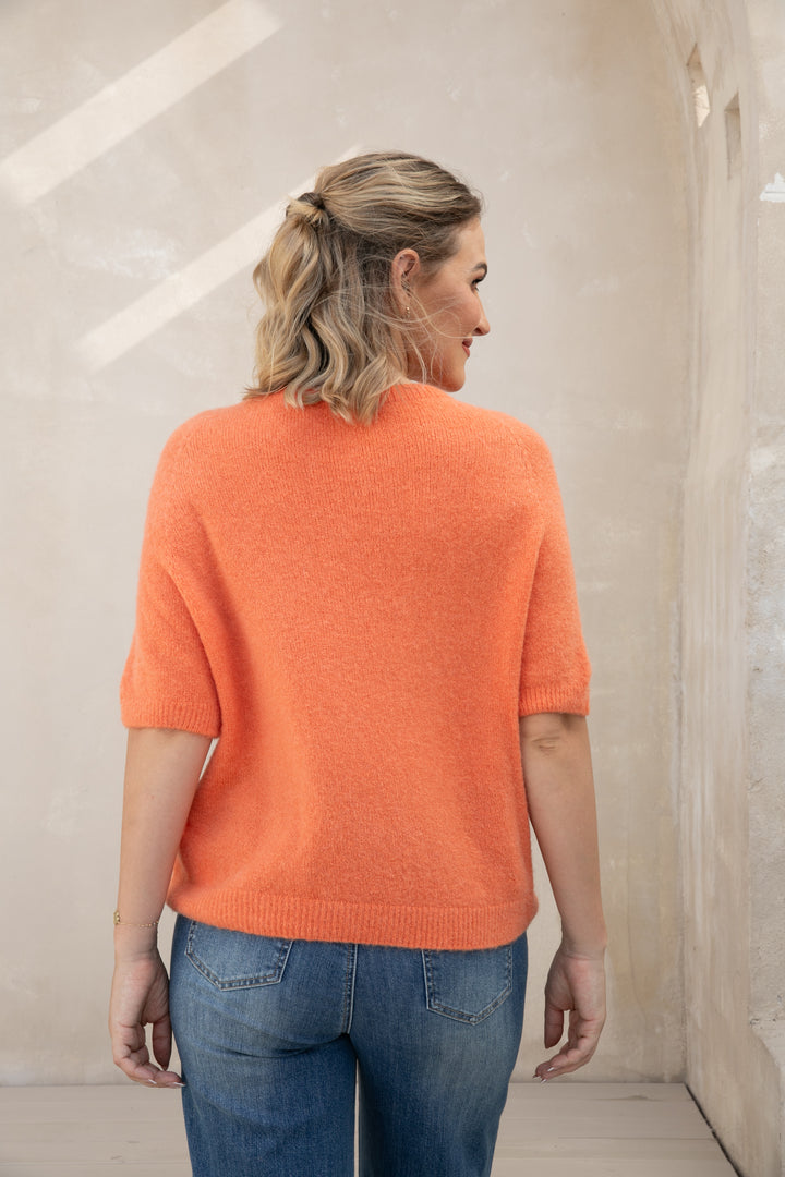 Alpaca Short Sleeve Top